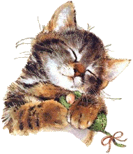a kitten with a catnip mouse